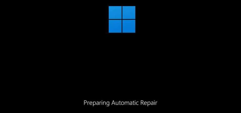 Preparing automatic repair