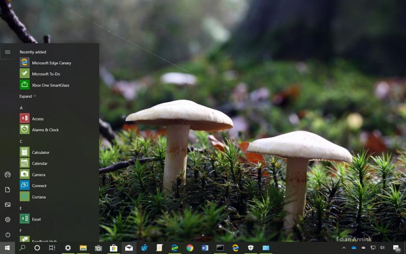 Mushrooms theme for Windows