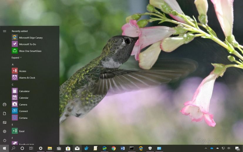 Hummingbird theme for Windows