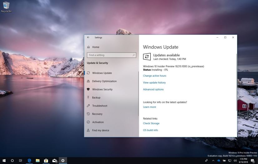 Windows 10 build 18219