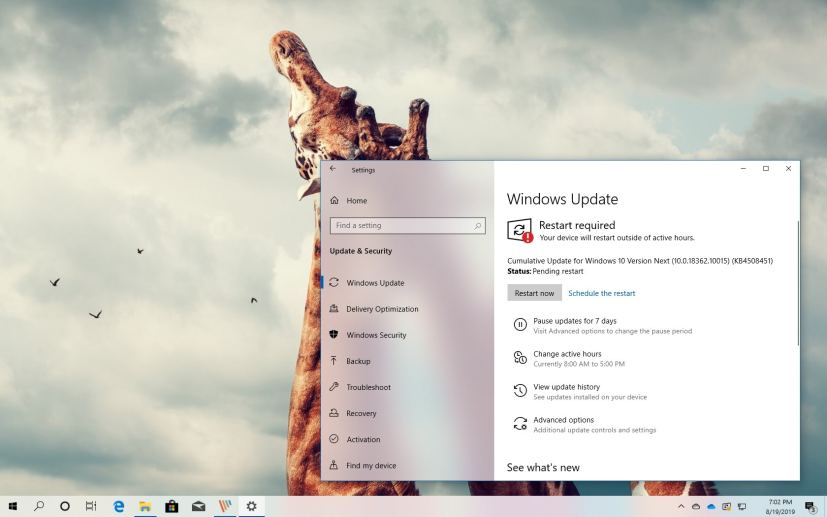 Windows 10 build 18362.10015 download