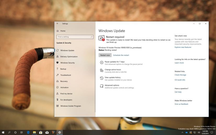 Windows 10 build 18908