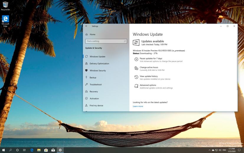 Windows 10 build 19551 download