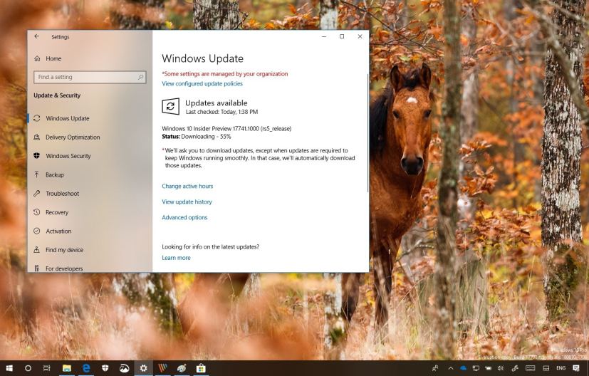 Windows 10 build 17741