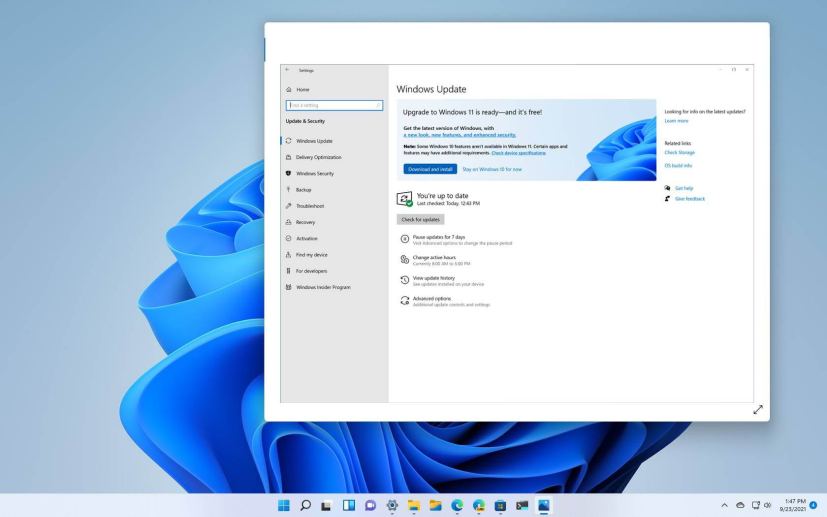 Windows 11 final preview download